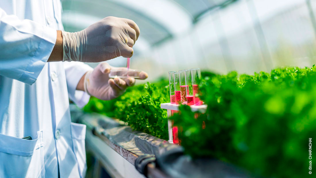 Haltermann Carless labs ensure the quality of aromatic solvents 4-fold